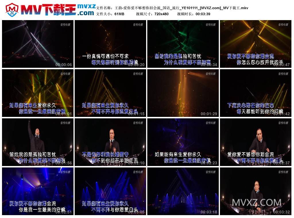 王韵-爱你爱不够想你泪会流_国语_流行_YE101111